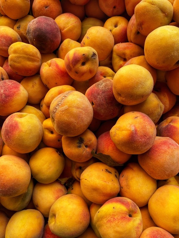 Quelles techniques de pêche sont adaptées au camping en rivière ?